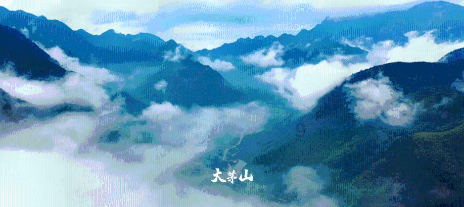 我终于知道啥叫“死亡之握”了…